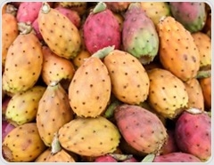 Prickly pear may pack a surprising punch against metabolic syndrome