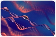 How siRNA Technology Targets Disease-Causing Genes in Inflammation and Cancer