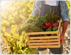 Researchers find 25 ways to rate meals and diets for both health and environmental impact