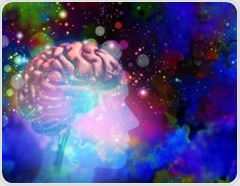 What happens in the brain on psychedelics? Scientists identify a common circuit pattern