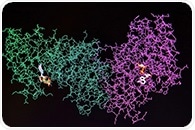 Using Mass Spectrometry for Clinical Proteomics and Biomarker Development