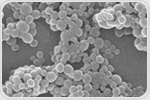 Modified lipid nanoparticles boost mRNA vaccines while reducing side effects