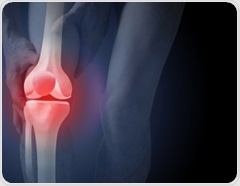 Study links ultra-processed food intake to poorer thigh muscle quality