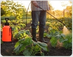 Study links common herbicide to rising early-onset colorectal cancer risk