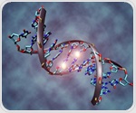 Whitehead researchers create 3D map to predict how genes are regulated in normal cells