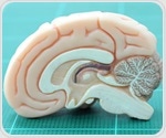 Study reframes ADHD as disorder of energy regulation