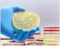 Rapid blood infection test fails to improve survival