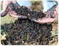 How engineered biochar improves microplastic removal