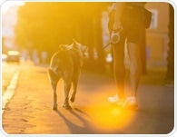Brief walking breaks help the body control sugar after carb-rich meals