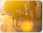 Brief walking breaks help the body control sugar after carb-rich meals