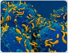 Scientists redesign CAR-T cells to fight more than cancer