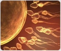 Early chemical exposure linked to sperm abnormalities in men
