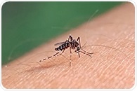 How In Vitro Models Are Transforming Drug Discovery in Malaria