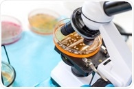 New Single-Cell Technique Reveals Why Bacteria Survive Antibiotics