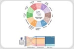 From killers to strategists: CAR T cells enter their multifunctional era