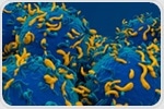 Scientists redesign CAR-T cells to fight more than cancer