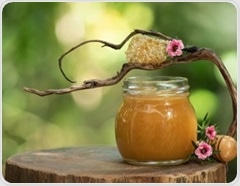 Manuka honey eye drops outperform artificial tears for dry eye relief