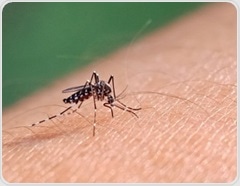 How in vitro models are transforming drug discovery in malaria