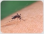 How In Vitro Models Are Transforming Drug Discovery in Malaria