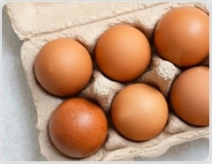 Eating eggs regularly reduces Alzheimer’s disease risk