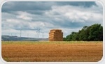 Agricultural Straw Can Help Reduce Greenhouse Gas Emissions