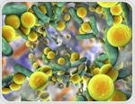 Antibiotic Resistance vs. Antibiotic Tolerance: What is the Difference?