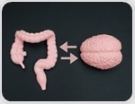Reversing Memory Loss in Aging Mice by Targeting Gut Bacteria