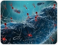Phages Communicate Across Species to Control Infection Decisions