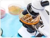 New Single-Cell Technique Reveals Why Bacteria Survive Antibiotics