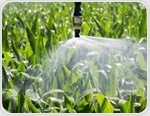 Secondary-treated wastewater still transfers antibiotic resistance to fresh produce