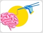 How food and alcohol cues leave different signatures in the brain