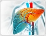 New 3D Human Liver Model Mimics Chronic Disease For 30 Days