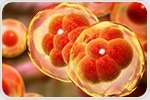 Cell division failure pathway determines fate after genome duplication