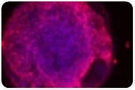 Laser-assisted bioprinting technologies supporting new approach methodologies (NAMs)