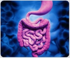 New mathematical model tracks microbial contribution to human digestion