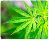 Cannabis and tobacco co-use may increase psychosis risk