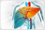 New 3D Human Liver Model Mimics Chronic Disease For 30 Days