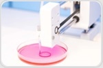How Advanced Bioinks and Hydrogels Are Shaping the Future of 3D Bioprinting