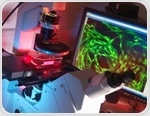 Multiplex Immunofluorescence Expands the Molecular Resolution of Clinical Pathology