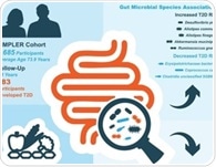 Gut microbes may reveal who is at risk of type 2 diabetes years before diagnosis