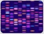 Scientists uncover shared gene signatures that reveal how mammals age