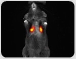 The growing role of NIR-II imaging in preclinical research