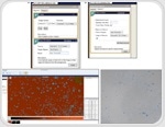 Streamline adherent and suspension cell culture workflows with CellXpress.ai