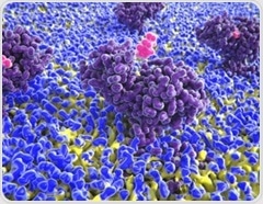 Histamine boost helps the brain remember, decide, and learn from loss