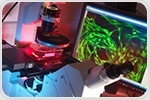 Multiplex Immunofluorescence Expands the Molecular Resolution of Clinical Pathology