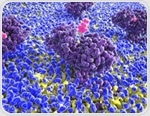 Histamine boost helps the brain remember, decide, and learn from loss