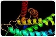 Scientists discover how muscle stem cells "flip a switch" to rebuild damaged muscle