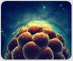 Researchers map rare DHDDS disease mechanism using lab-grown mini brains