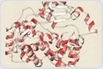 How a Tiny Bacterial Enzyme Could Clean Up Chemical Manufacturing