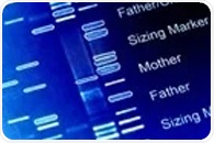 Genetic study links liver enzyme to compulsive cocaine addiction